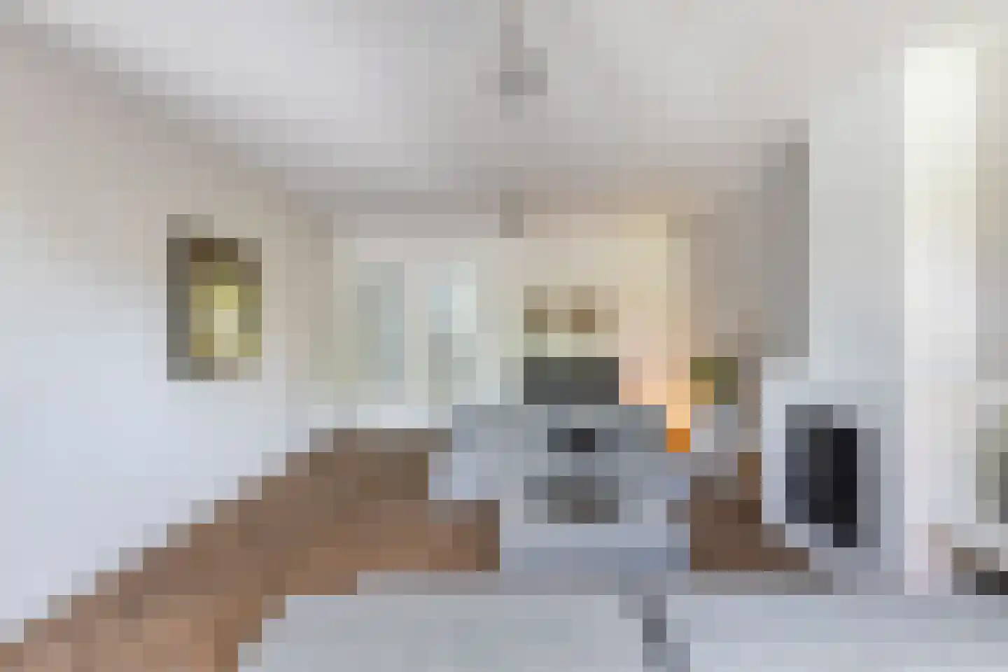 Sluysoort 44 Maarssen thumbnail 21