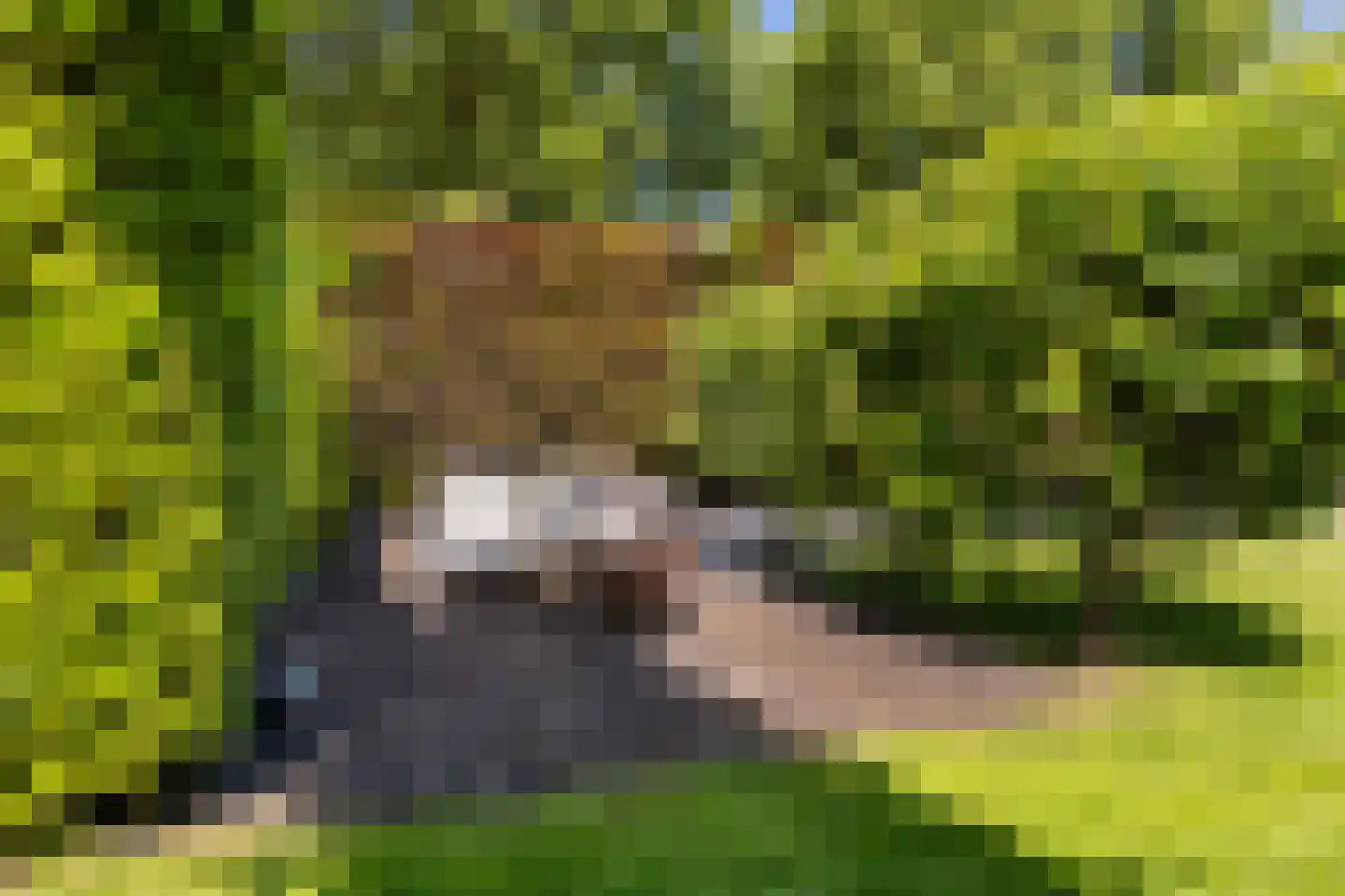 Sluysoort 44 Maarssen thumbnail 54