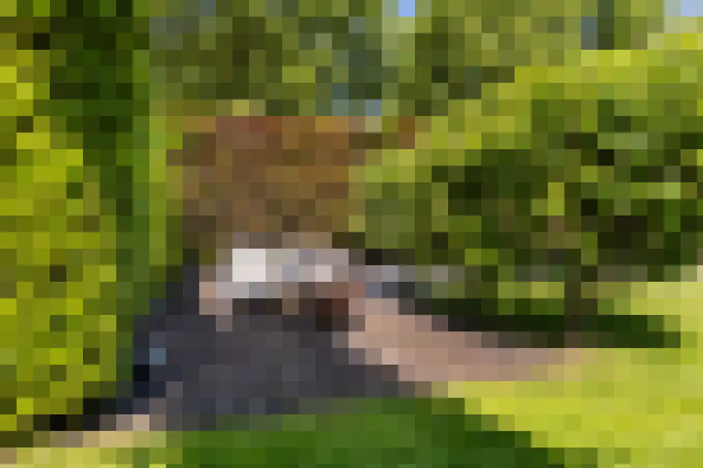 Sluysoort 44 Maarssen thumbnail 54