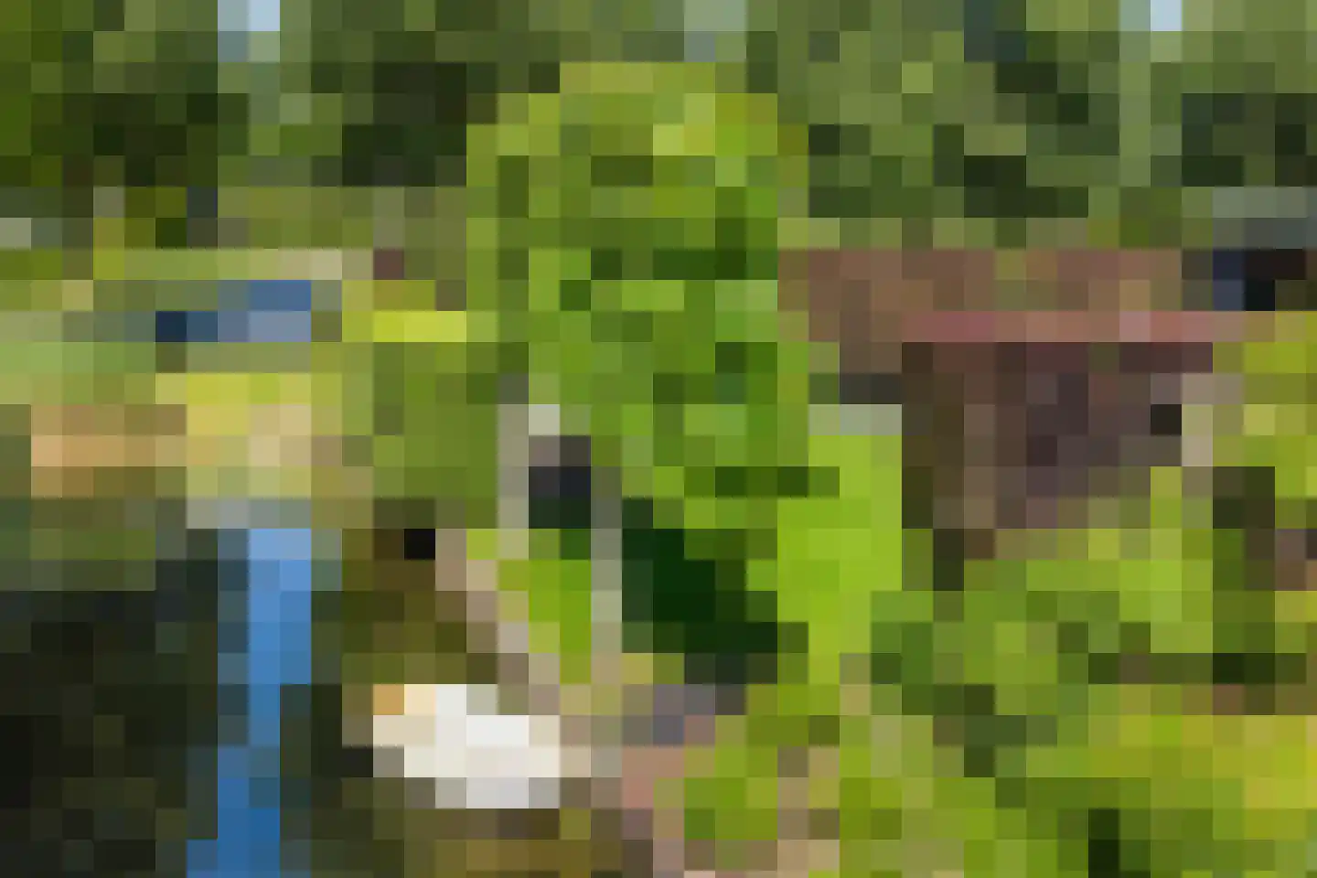 Sluysoort 44 Maarssen thumbnail 61