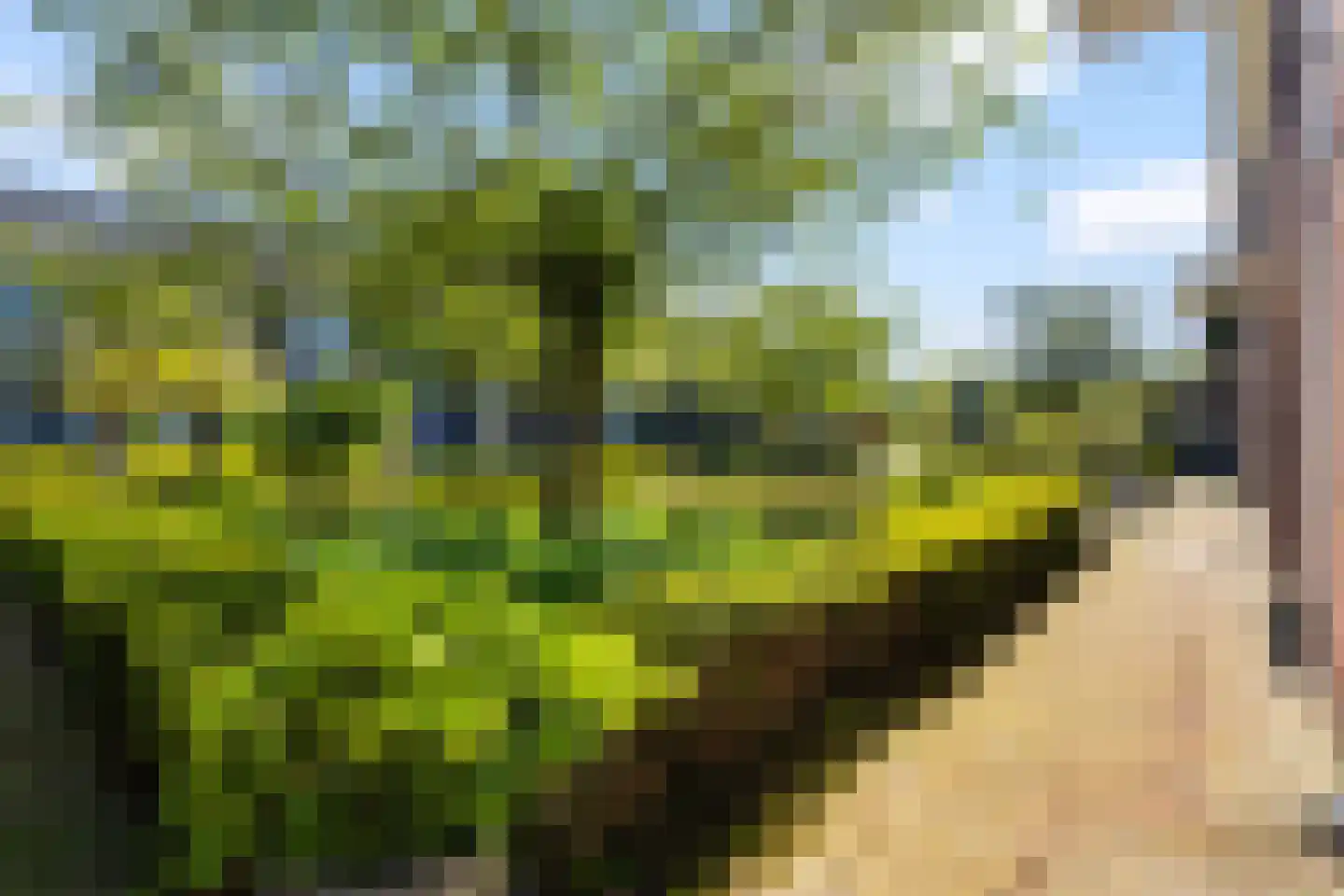 Sluysoort 44 Maarssen thumbnail 90
