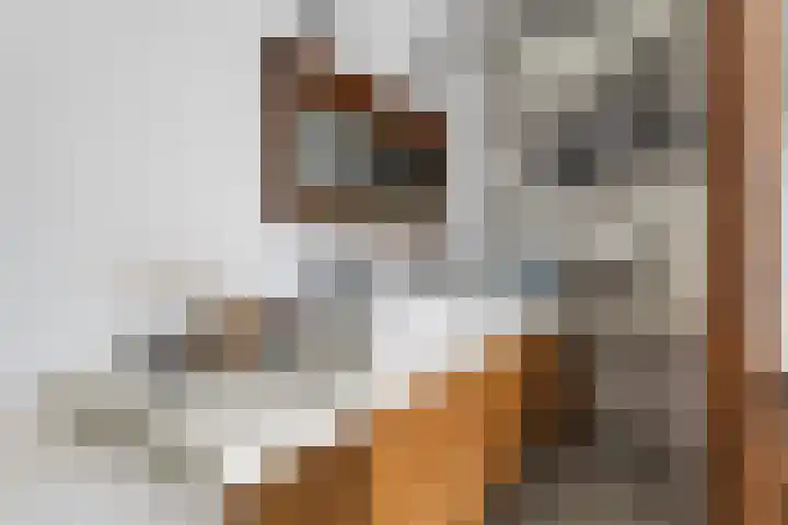 Sluysoort 50 Maarssen thumbnail 31