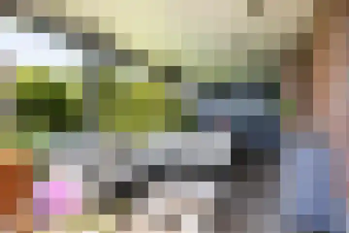 Sluysoort 50 Maarssen thumbnail 44