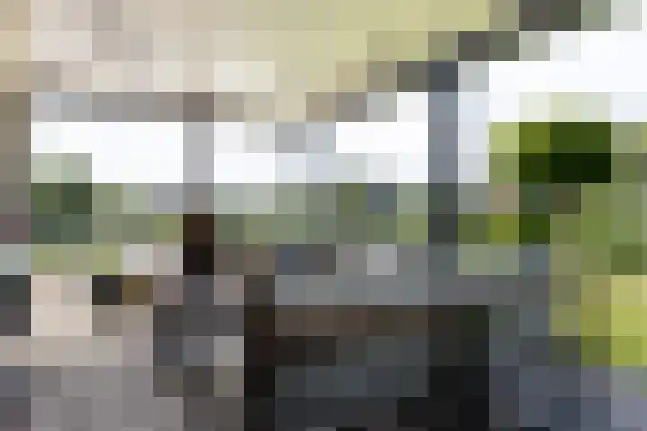 Sluysoort 50 Maarssen thumbnail 45