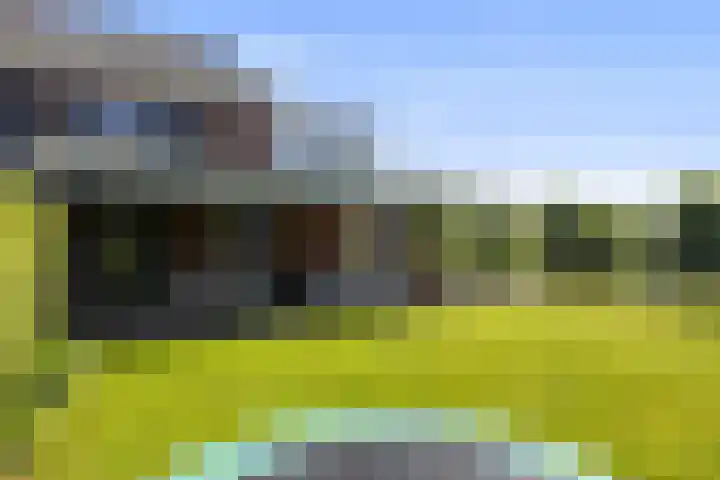 Sluysoort 50 Maarssen thumbnail 48