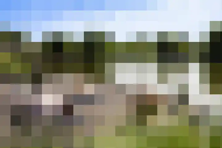 Sluysoort 50 Maarssen thumbnail 49