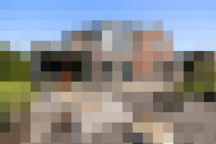 Sluysoort 50 Maarssen thumbnail 50