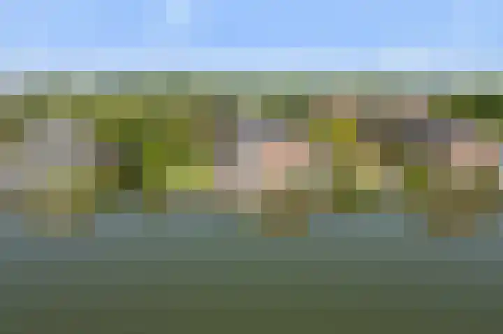 Sluysoort 50 Maarssen thumbnail 55