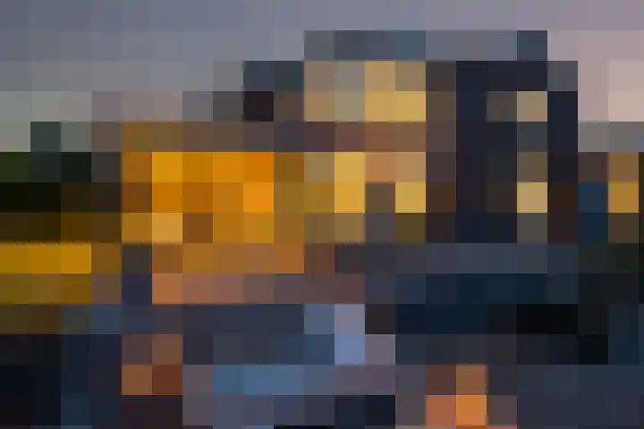 Sluysoort 50 Maarssen thumbnail 6