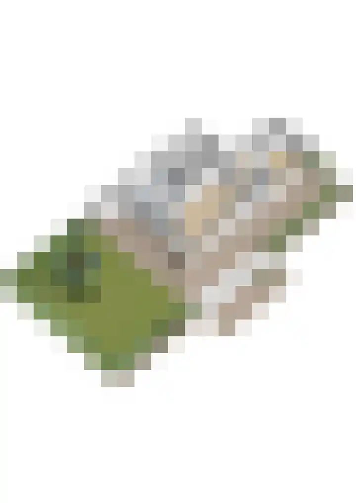 Sluysoort 50 Maarssen thumbnail 61