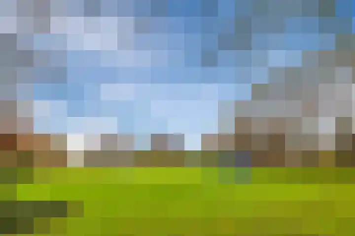 Sluysstraat 14 Vierpolders thumbnail 33