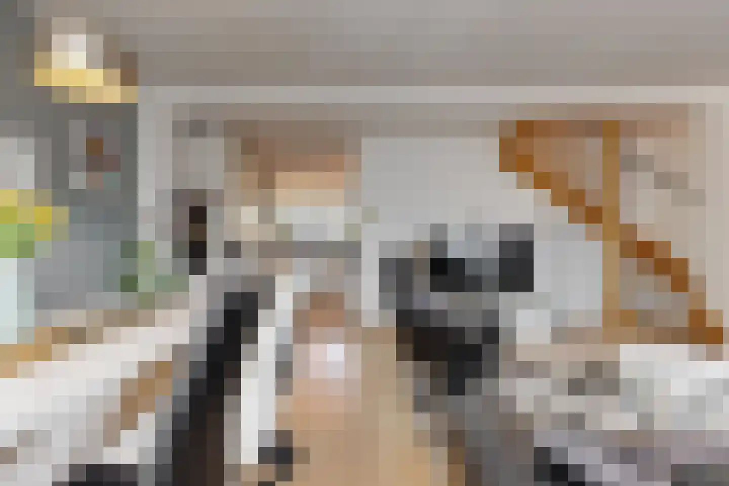 Sluyterslaan 343 Nieuwegein thumbnail 6