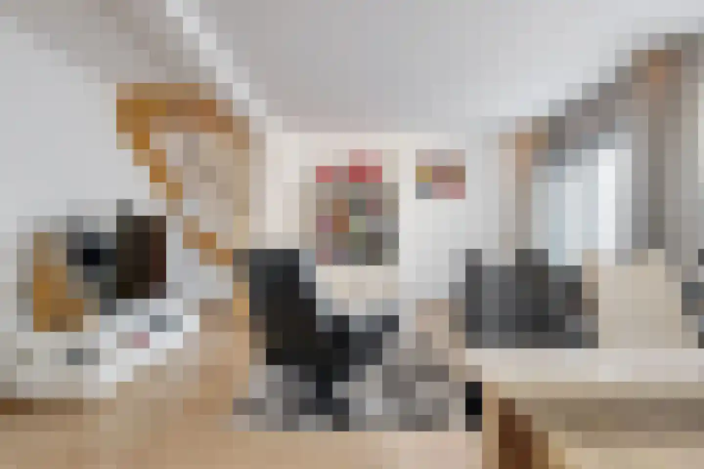 Sluyterslaan 343 Nieuwegein thumbnail 9