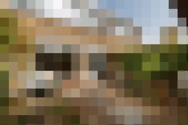 Sluyterslaan 449 Nieuwegein thumbnail 17