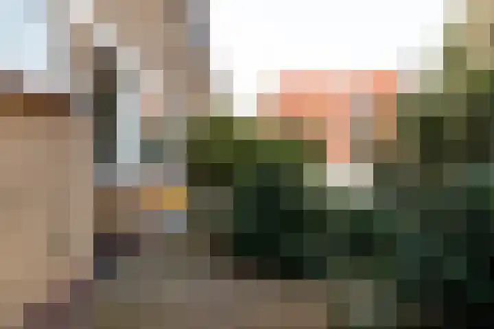 Sluyterslaan 449 Nieuwegein thumbnail 32