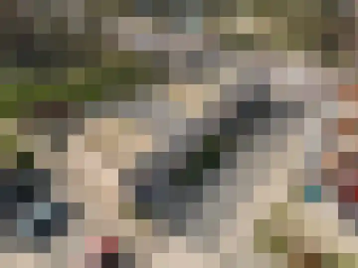 Sluyterslaan 449 Nieuwegein thumbnail 34