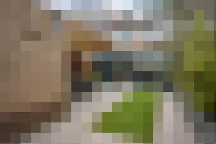 Sluyterslaan 457 Nieuwegein thumbnail 33