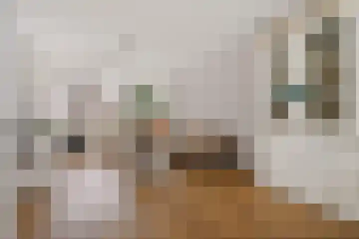 Sluyterslaan 457 Nieuwegein thumbnail 8