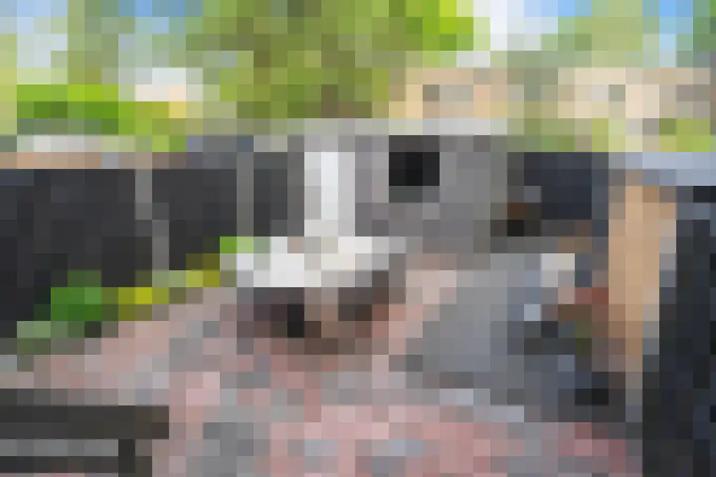 Smaal 12 Zaandam thumbnail 21