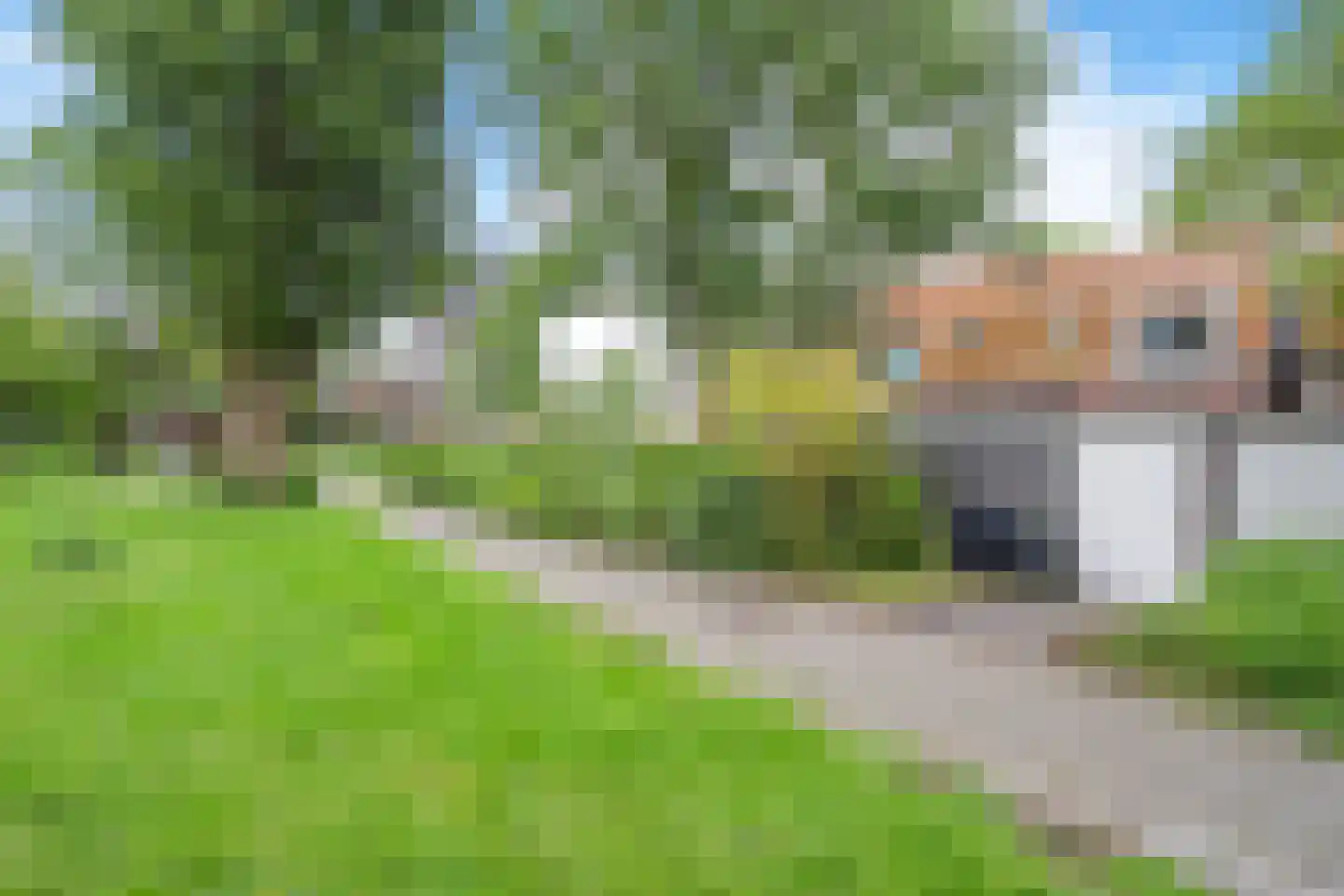 Smaal 12 Zaandam thumbnail 30