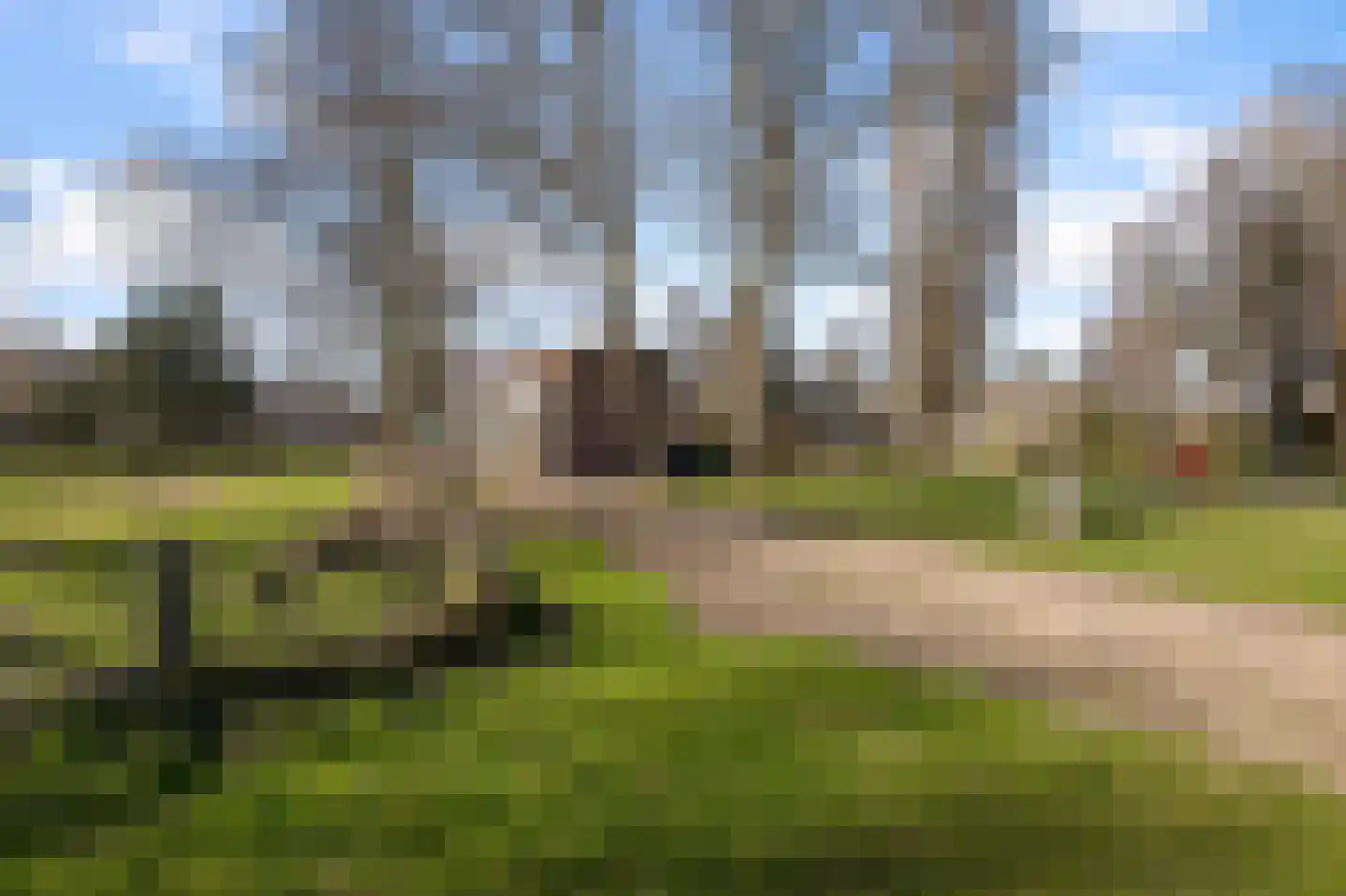Smaal 13 Zaandam thumbnail 30