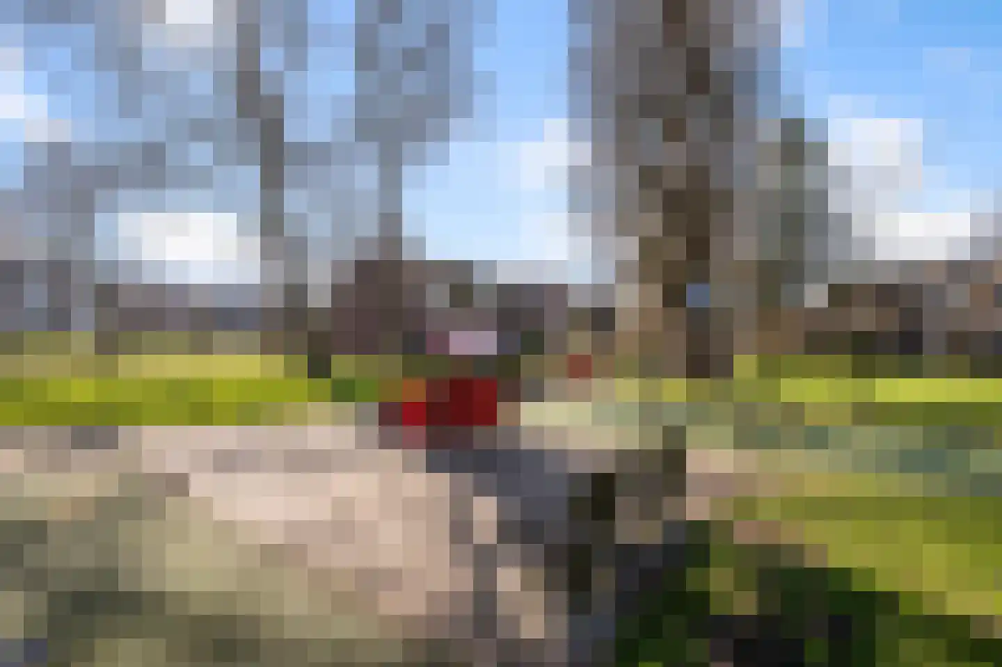 Smaal 13 Zaandam thumbnail 32