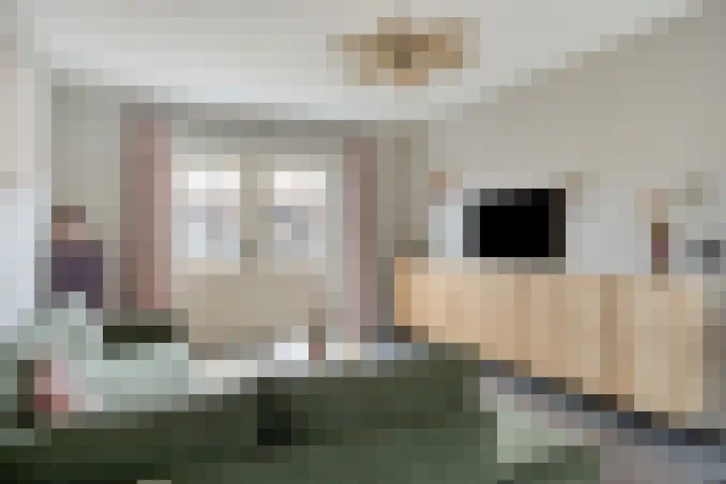 Smachtkamp 18 Opheusden thumbnail 15