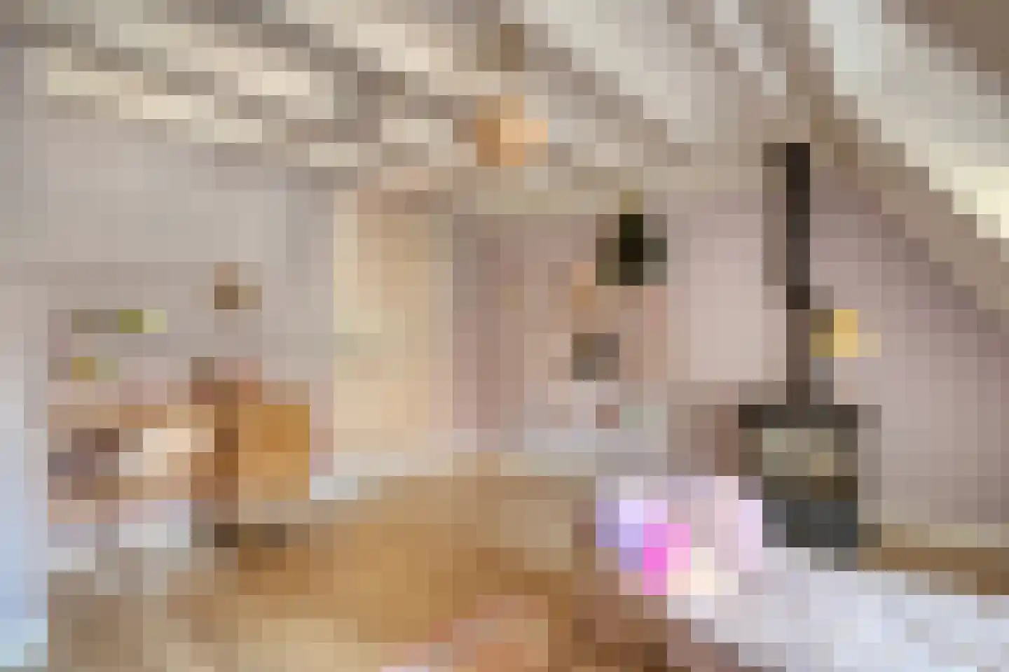 Smachtkamp 18 Opheusden thumbnail 43
