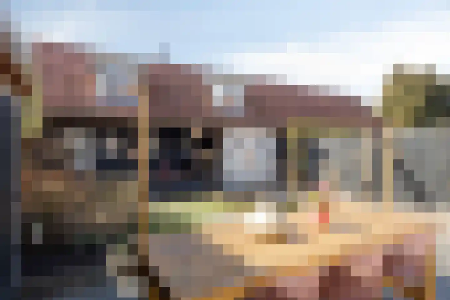 Smachtkamp 18 Opheusden thumbnail 47