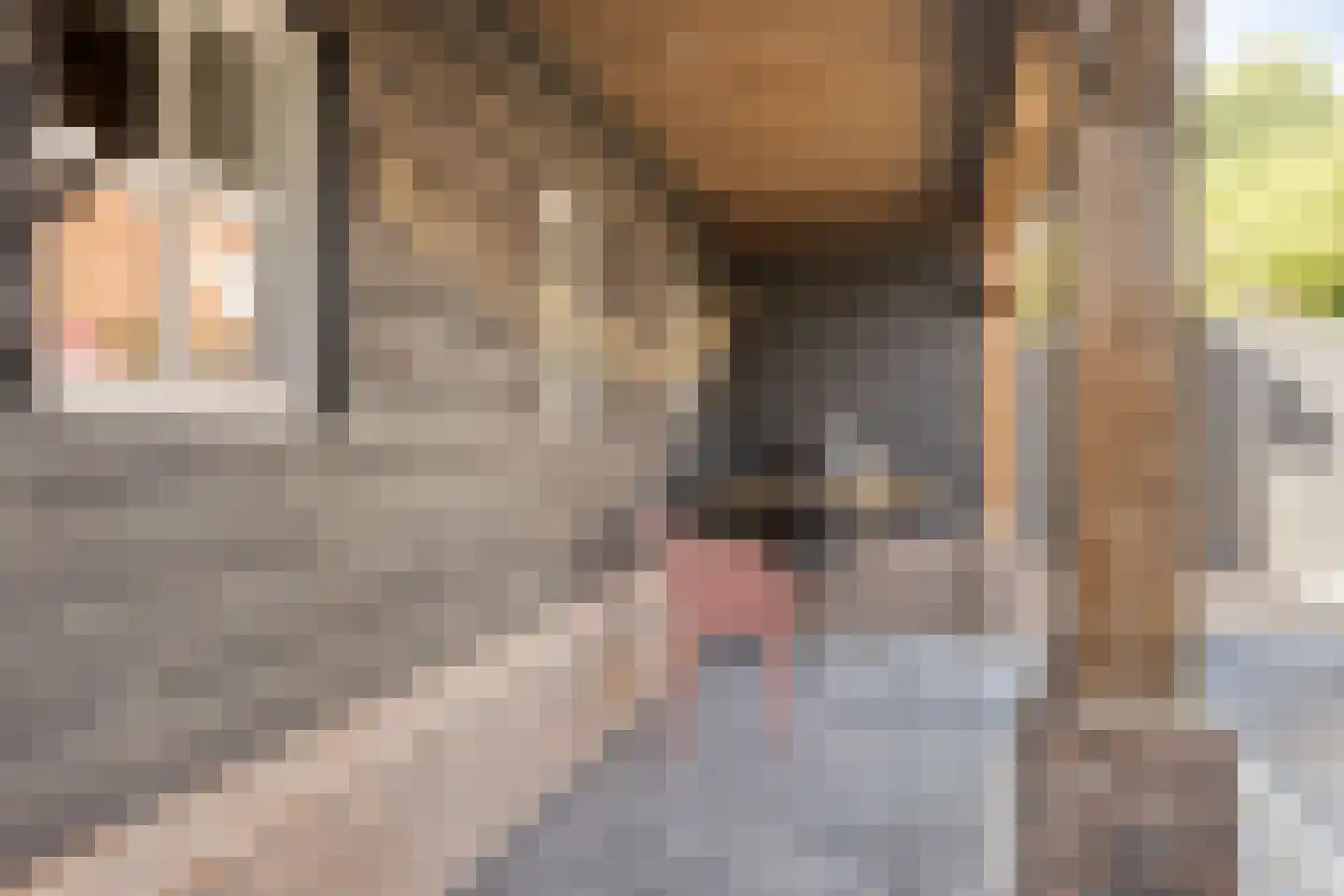 Smachtkamp 18 Opheusden thumbnail 49