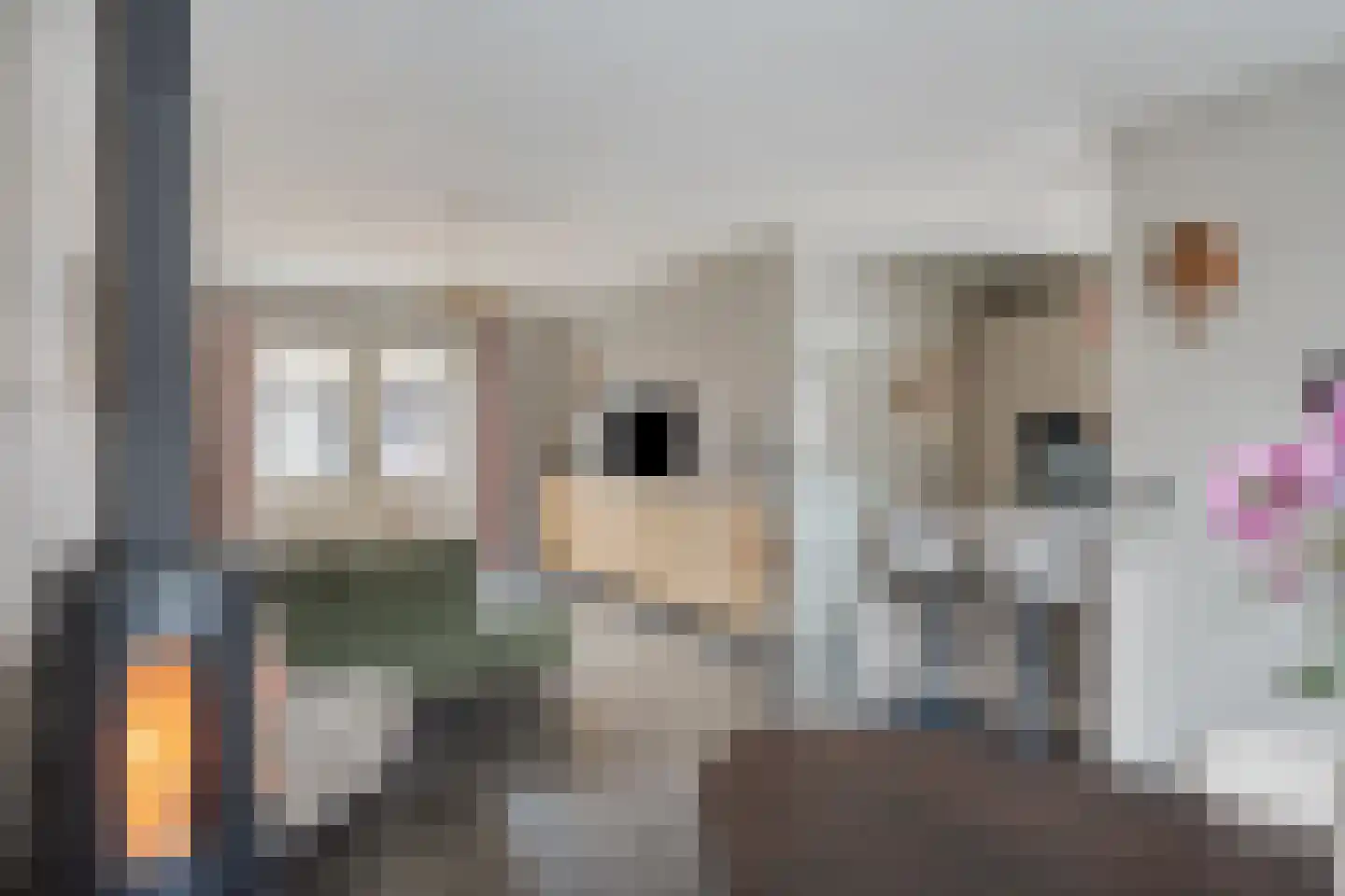 Smachtkamp 18 Opheusden thumbnail 8