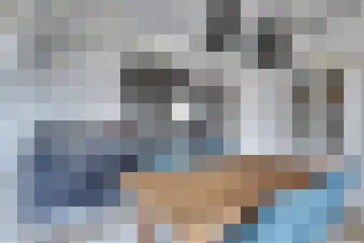 Smak 34 Enkhuizen thumbnail 10