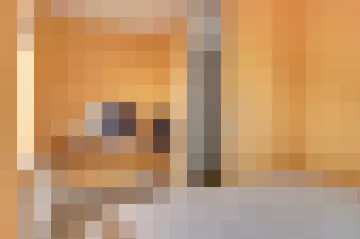 Smak 34 Enkhuizen thumbnail 18