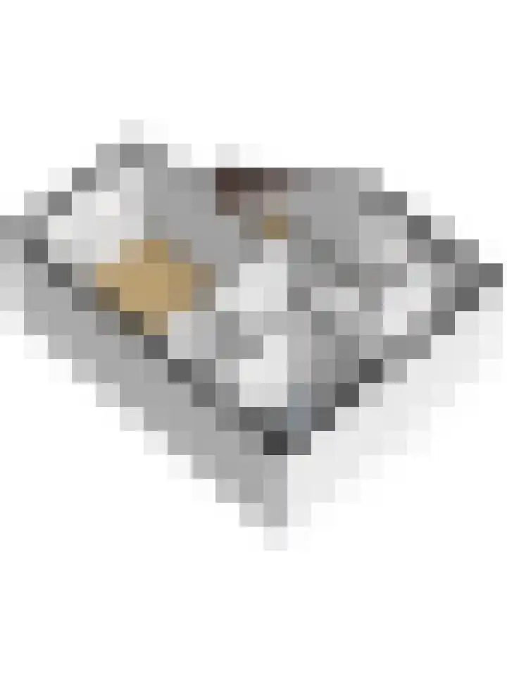 Smak 34 Enkhuizen thumbnail 36
