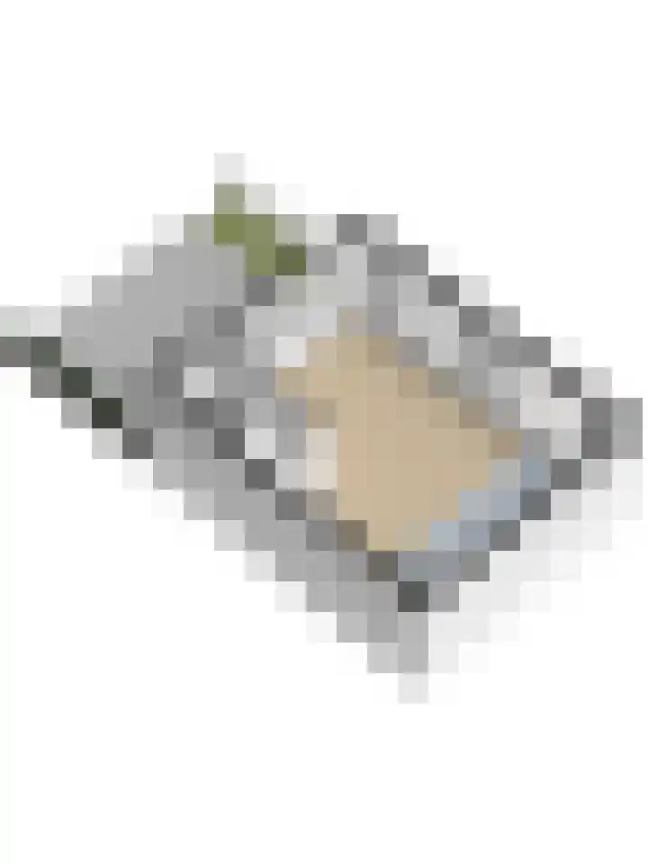 Smak 34 Enkhuizen thumbnail 42