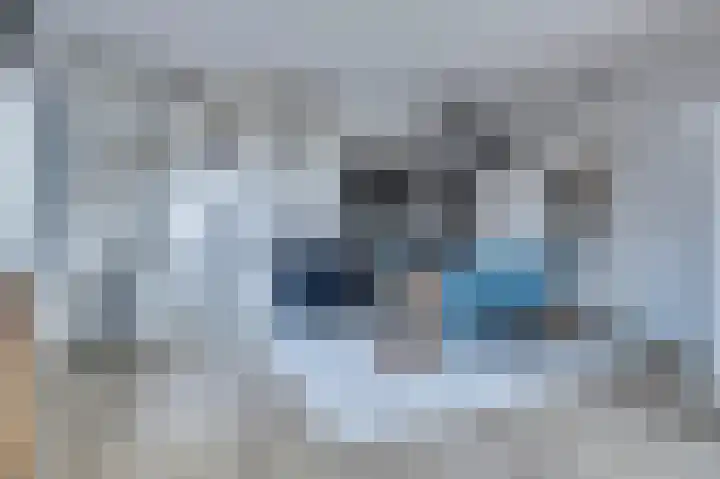 Smak 34 Enkhuizen thumbnail 8