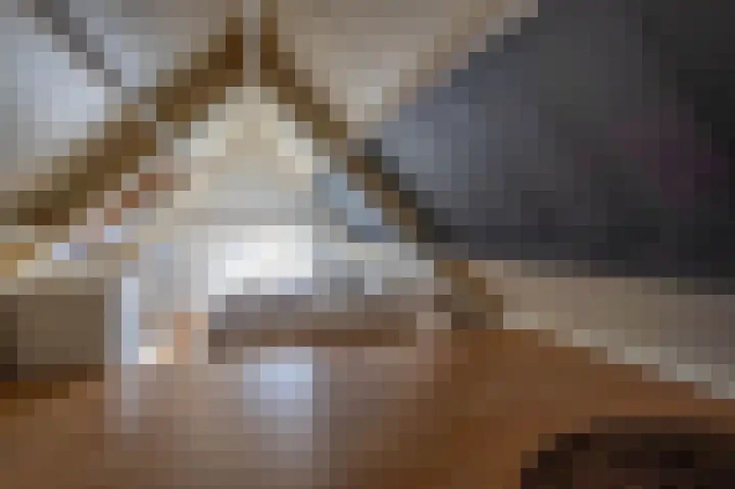 Smakheul 2 c Gorinchem thumbnail 12