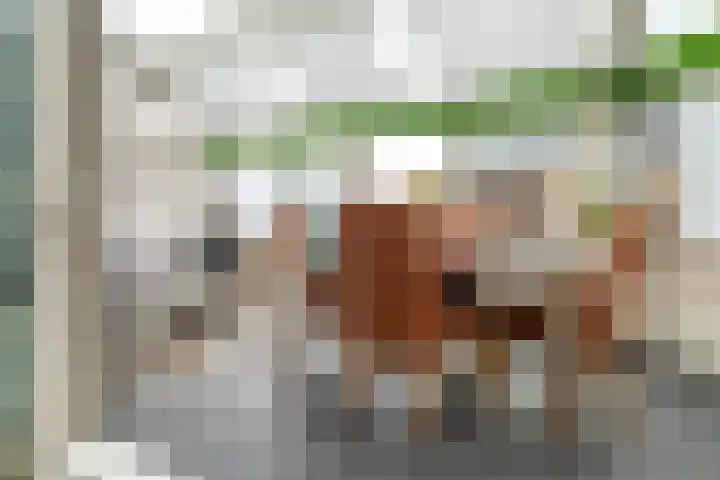 Smakkelaarsveld 101 Utrecht thumbnail 24