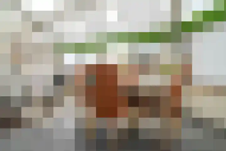 Smakkelaarsveld 101 Utrecht thumbnail 25