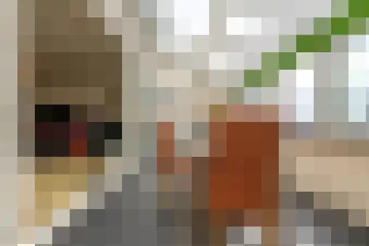 Smakkelaarsveld 101 Utrecht thumbnail 26