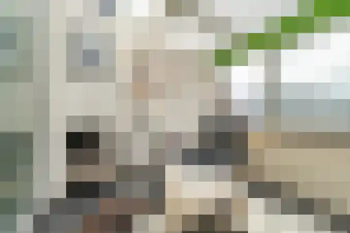 Smakkelaarsveld 101 Utrecht thumbnail 27