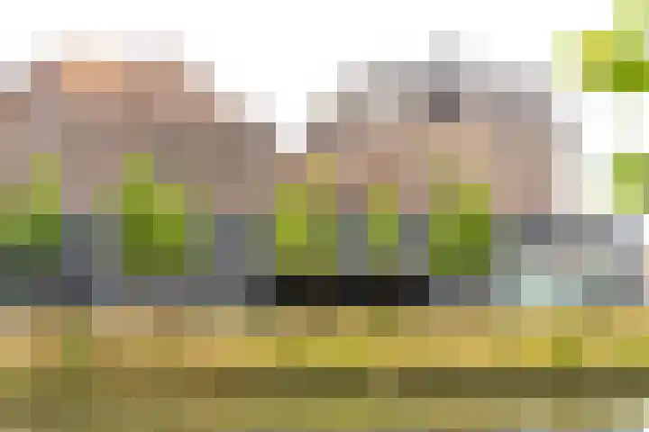 Smakkelaarsveld 101 Utrecht thumbnail 42