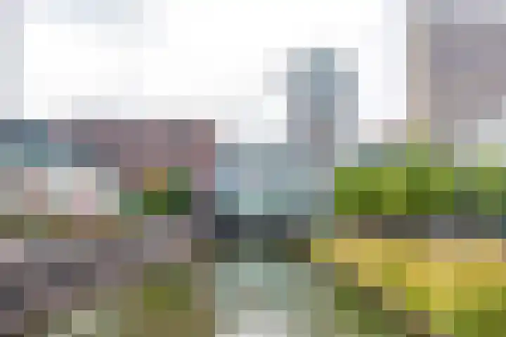 Smakkelaarsveld 101 Utrecht thumbnail 44