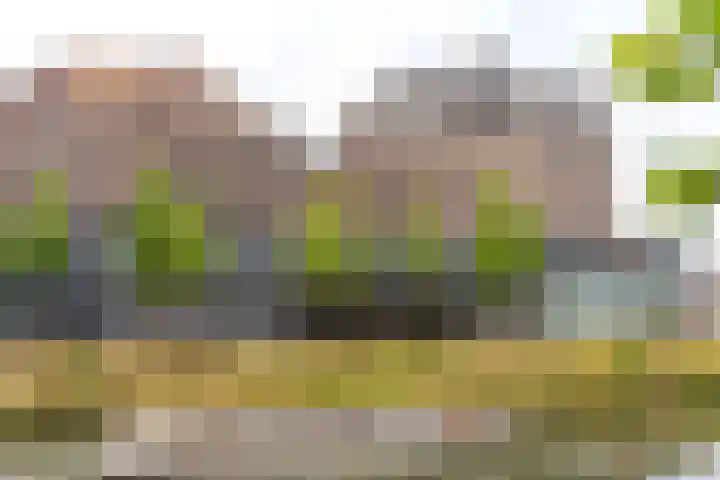 Smakkelaarsveld 101 Utrecht thumbnail 49