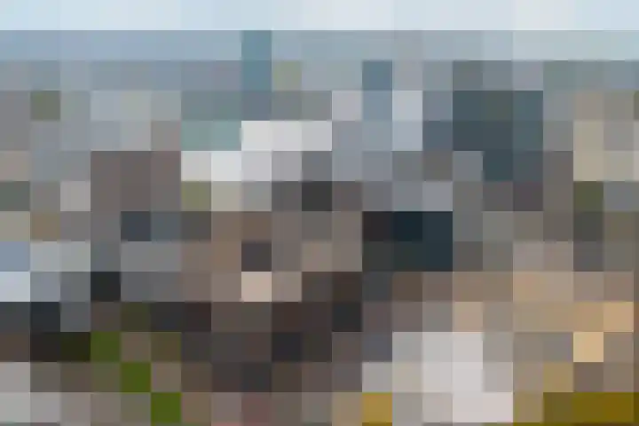 Smakkelaarsveld 31 Utrecht thumbnail 24