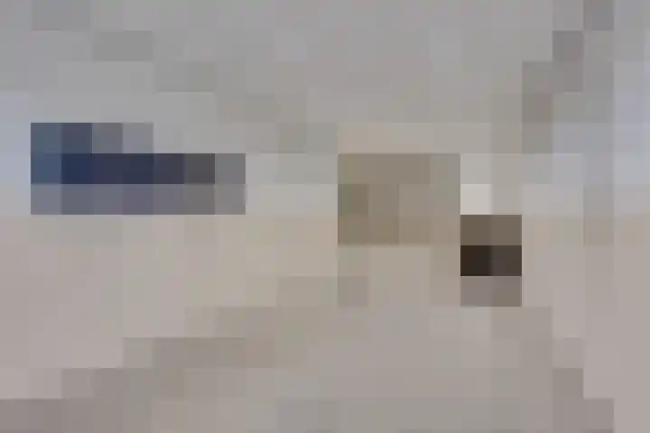 Smakkelaarsveld 31 Utrecht thumbnail 5