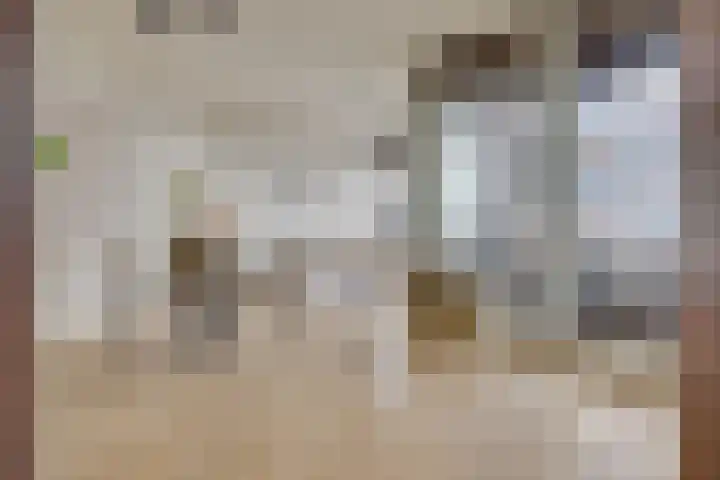 Smakkelaarsveld 31 Utrecht thumbnail 6