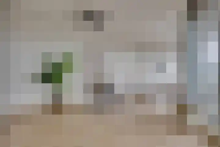 Smakkelaarsveld 31 Utrecht thumbnail 7