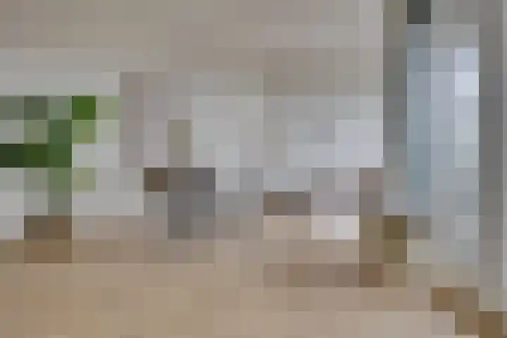 Smakkelaarsveld 31 Utrecht thumbnail 8