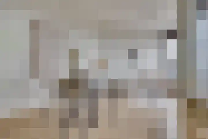 Smakkelaarsveld 31 Utrecht thumbnail 9